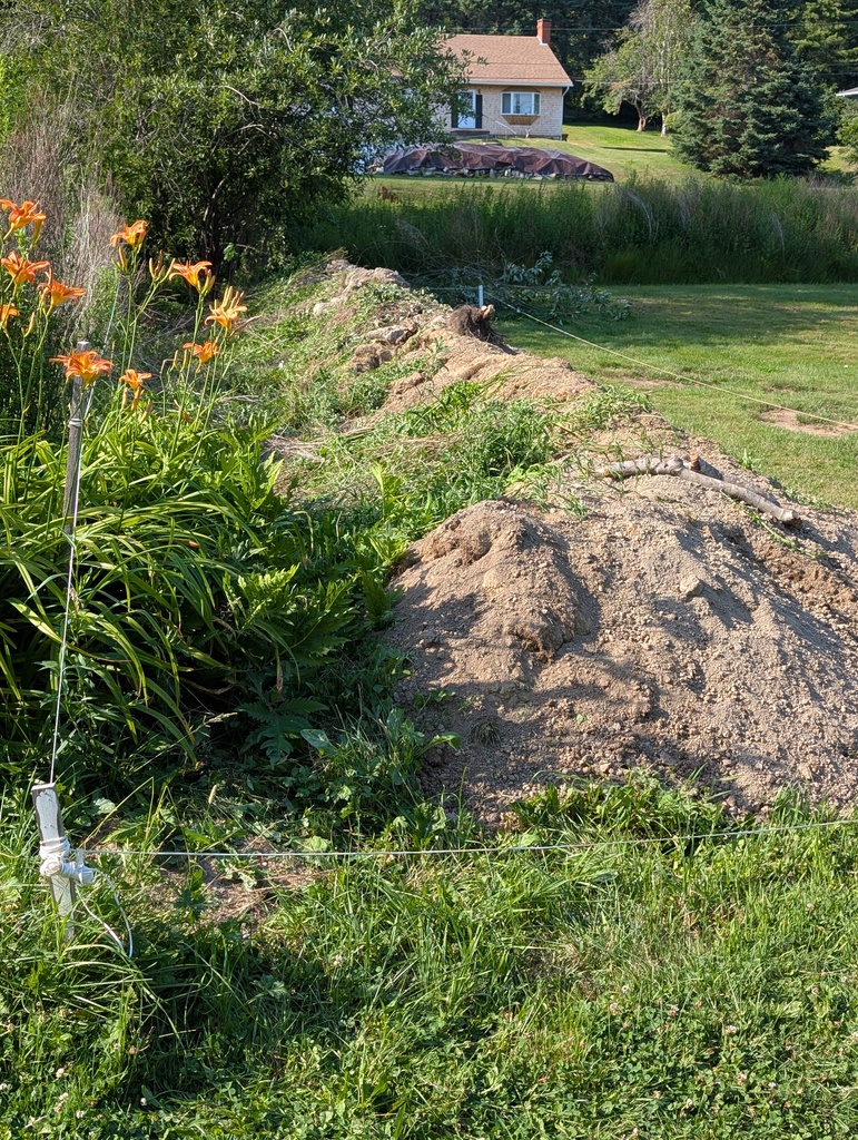 No description provided for: /2026/07-09/0715-berm-weeding/photo01.html
