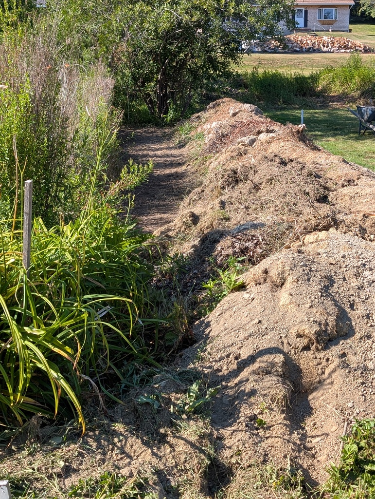 No description provided for: /2026/07-09/0727-weeded-berm/photo01.html