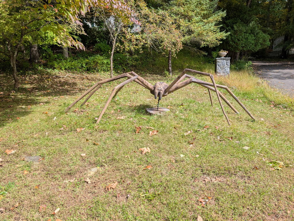 No description provided for: /2026/10-12/1002-spider/photo01.html